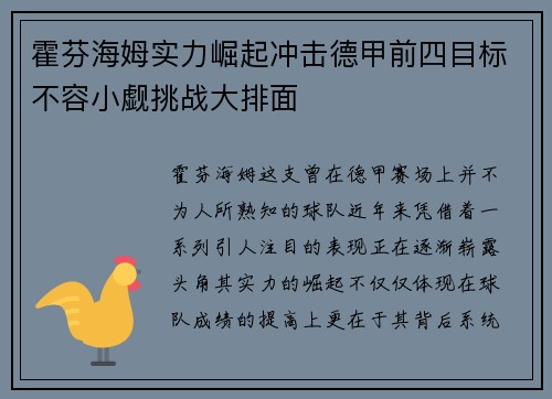 霍芬海姆实力崛起冲击德甲前四目标不容小觑挑战大排面