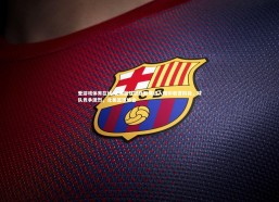 爱游戏体育在线-北美篮球职业联赛进入精彩收官阶段，球队竞争激烈，北美篮球协会