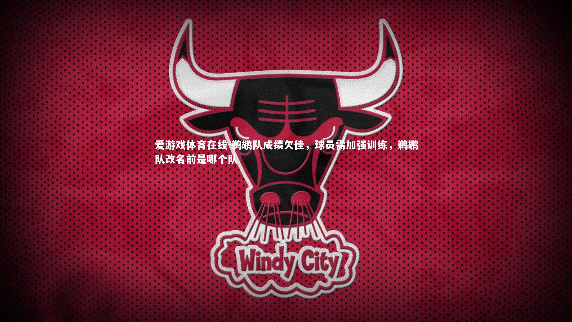 爱游戏体育在线-鹈鹕队成绩欠佳,球员需加强训练,鹈鹕队改名前是哪个队