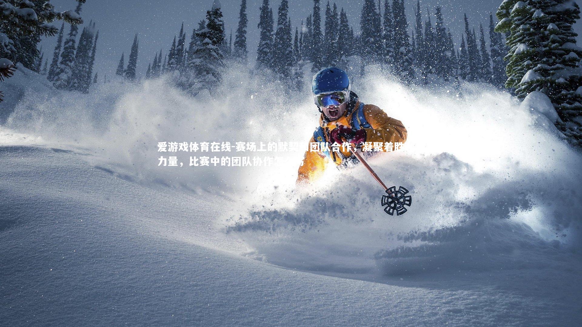 赛场上的默契和团队合作,凝聚着胜利的力量,比赛中的团队协作怎么写